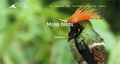 Desktop Screenshot of birdingnorthperu.com